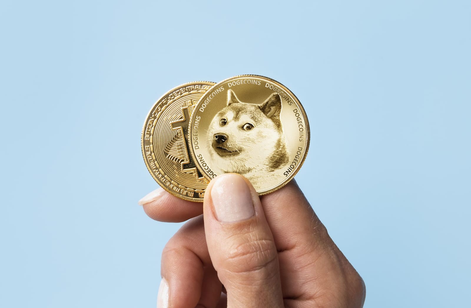 ミームコインの未来 投機から実用へ進化する可能性 | Plus Web3 media