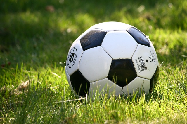 サッカーボール、スポーツ