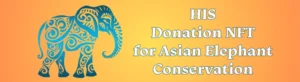 「I LOVE ZO3プロジェクト」アジアゾウ保護ドネーションNFT