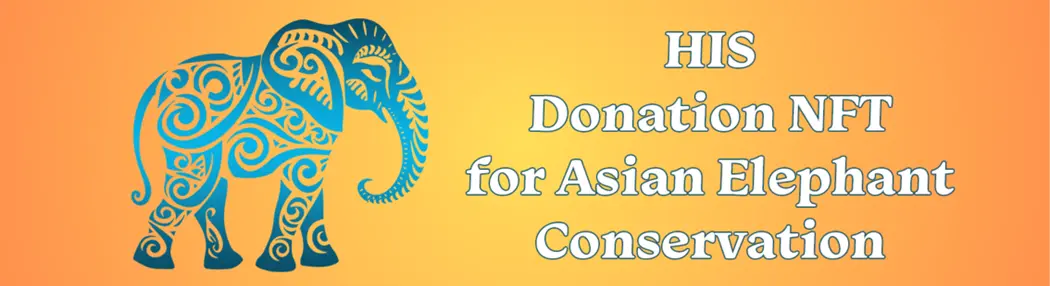 「I LOVE ZO3プロジェクト」アジアゾウ保護ドネーションNFT