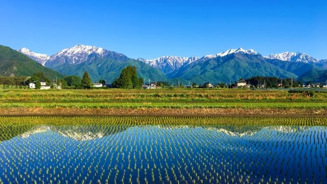 トレードログ、Web3×AIゲーム×VCで脱炭素米の購買体験を進化