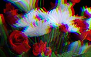 SUSHI TOP MARKETING、3D・NFT広告をTOKEN CARD CREATORで展開