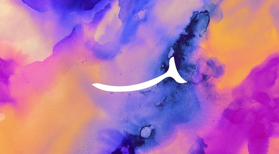 NetflixがWBC日本配信を独占へ　地上波、アマプラも排し全47試合を配信