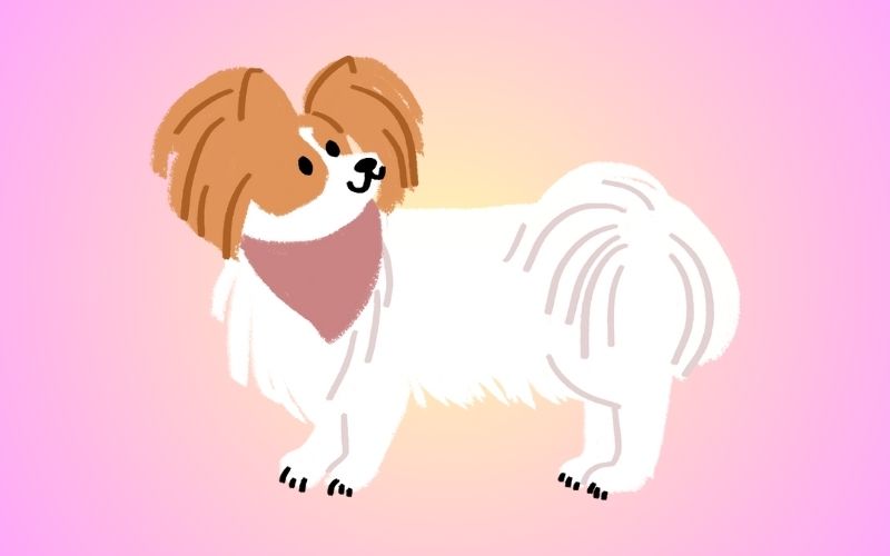 楽天、ペット愛好家向けSNS「moflog」開始　写真投稿や悩み相談で交流促進