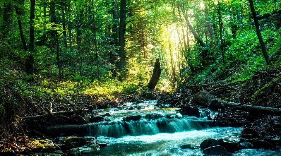 防災を「義務」から「体験」へ　DEAと田村淳氏が実装型プロジェクト始動