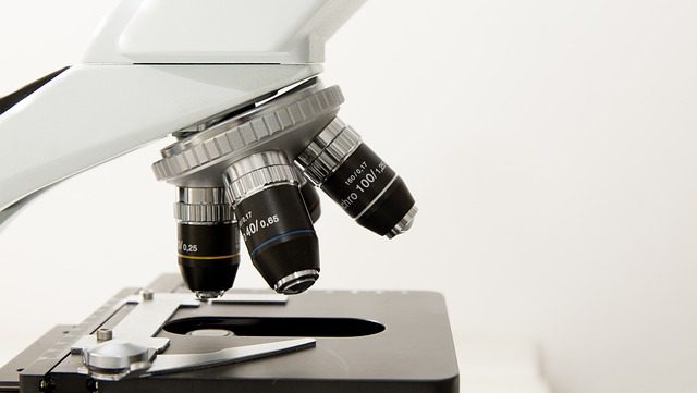 坂口志文氏、ノーベル生理学・医学賞を受賞　免疫の暴走を防ぐ「制御性Ｔ細胞」発見が評価