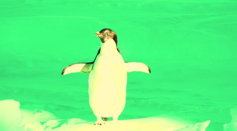 Suicaのペンギン25周年で卒業 新キャラクターと決済拡張へ | Plus Web3