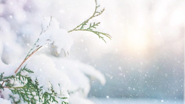 雪雲にドライアイス散布で人工降雪　富山湾上空で豪雨抑制の予備実験を実施