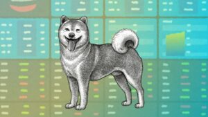 京都橘大学とKiQ、「阿吽」を表現する四足ロボット「AUN dog」を共同開発　人と共生する未来を探究