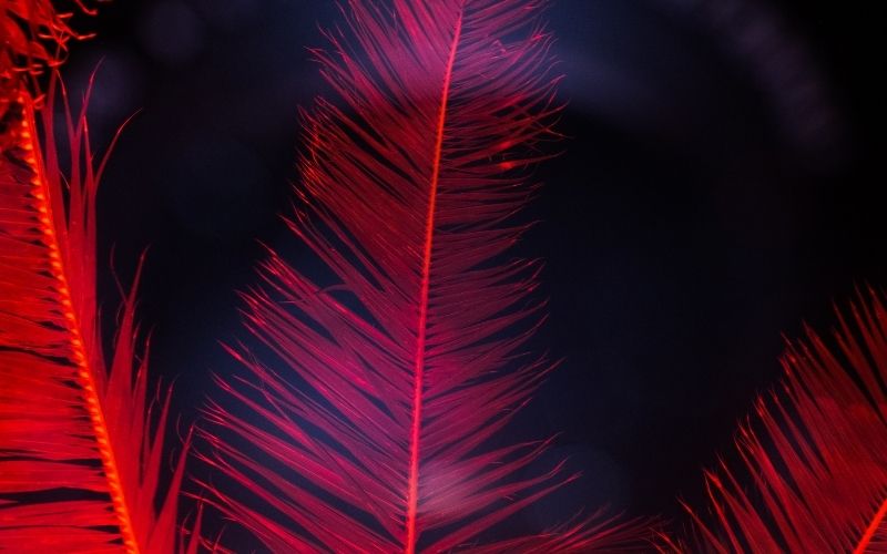 Google Cloud、AP2公開　AIエージェントでのステーブルコイン決済が可能に