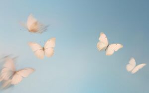 Anthropic、AIと主体性低下を150万件で分析　ディスエンパワーメント検証