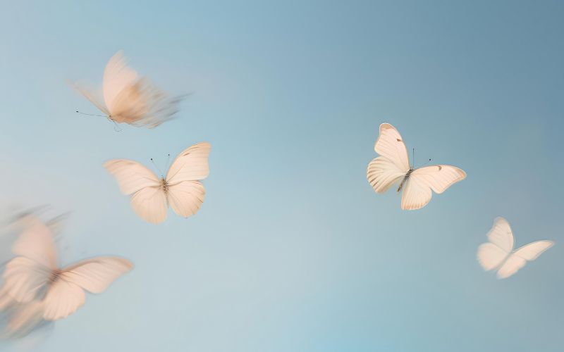 Anthropic、AIと主体性低下を150万件で分析　ディスエンパワーメント検証