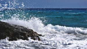 長崎大学、実海域技術開発研究新拠点を開所　AI海中ロボット活用を事業化へ