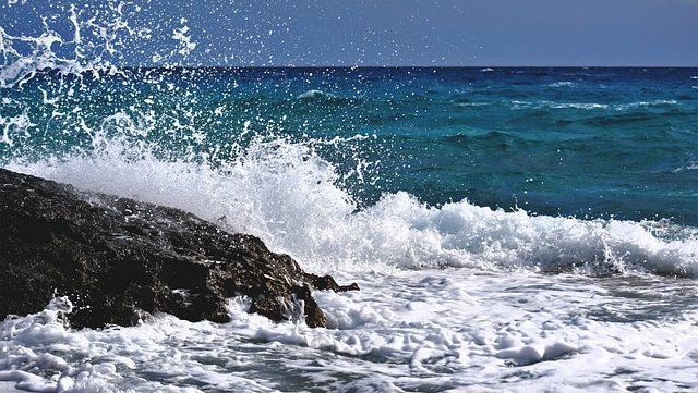 長崎大学、実海域技術開発研究新拠点を開所　AI海中ロボット活用を事業化へ