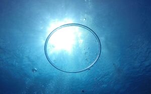 みずほ・野村ら4社、JGB担保をデジタル化　カントン活用で24時間取引へ