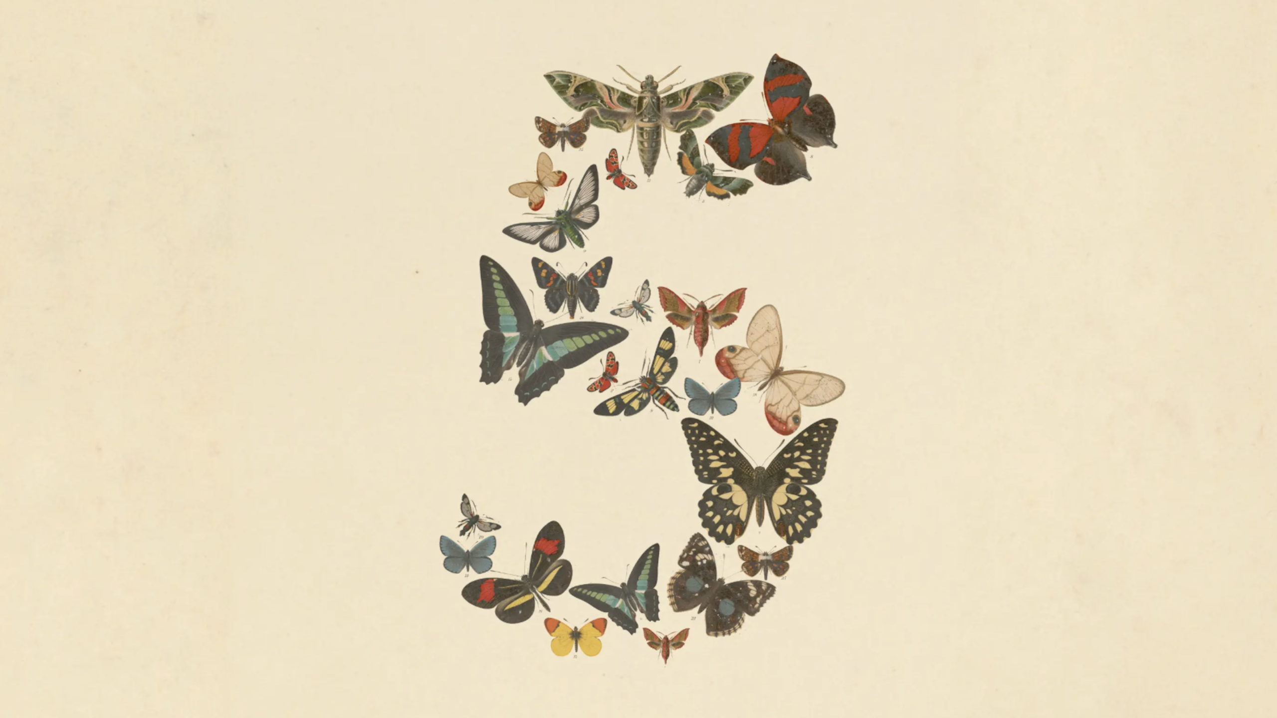 Claude Fable 5とClaude Mythos 5とは？