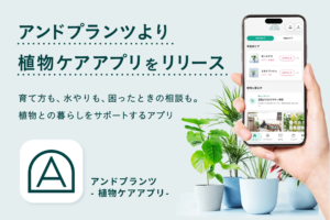 観葉植物のDomuz、AI搭載ケアアプリ開始 購入後の育成不安を解消へ