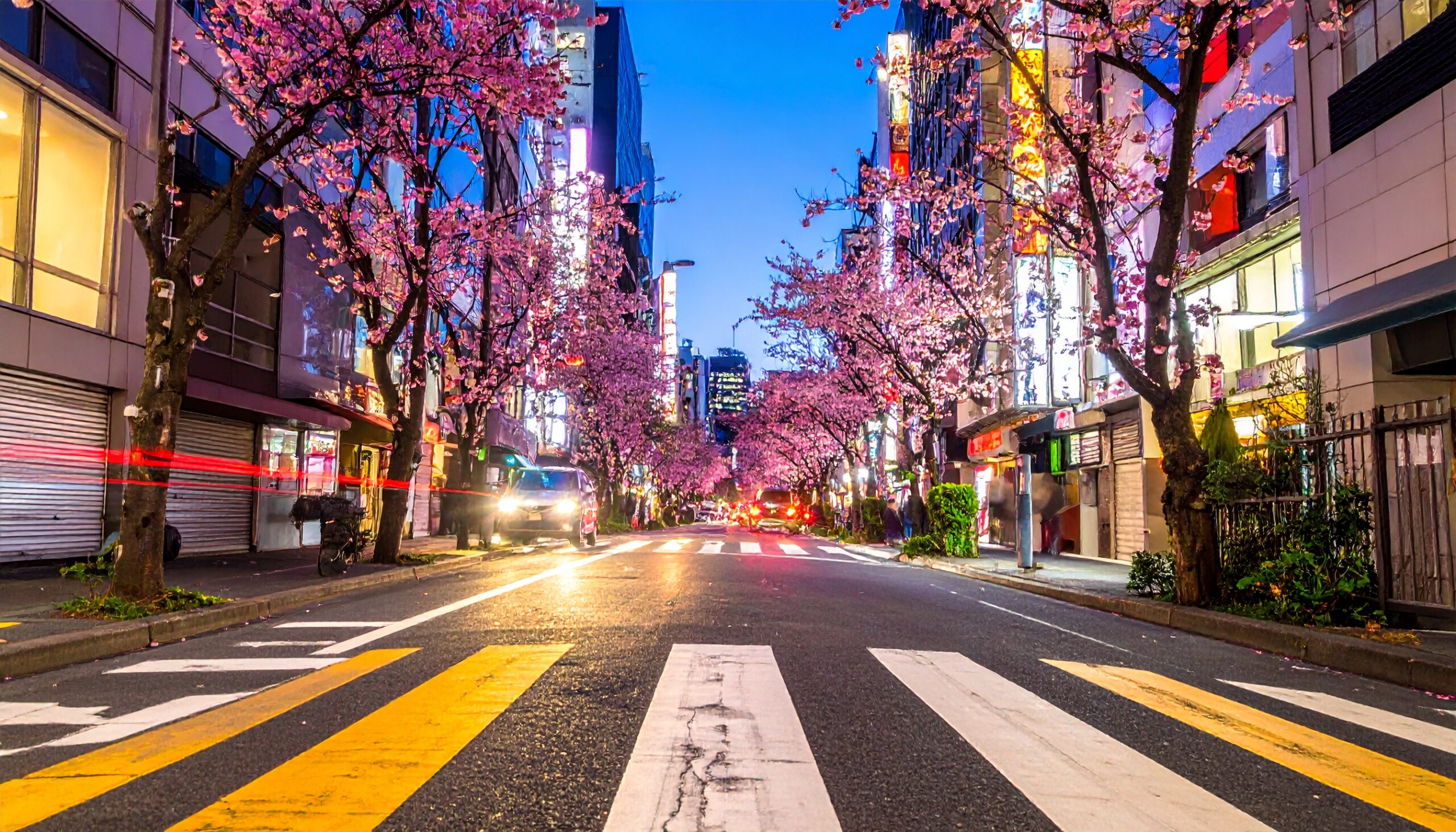 なぜ東京の自動運転にWayveが選ばれたのか？E2E AIと従来ルールの比較考察